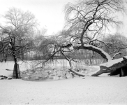 880273 Gezicht in het besneeuwde Julianapark aan de Amsterdamsestraatweg te Utrecht, met in de vijver een wak met ...